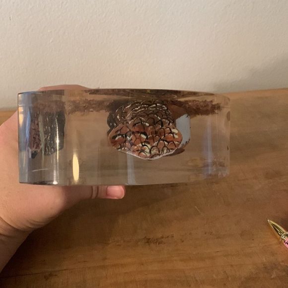 Vintage Mid-Century Hand Carved Wooden Owl Encased in Lucite Shaped Moon - Picture 7 of 8